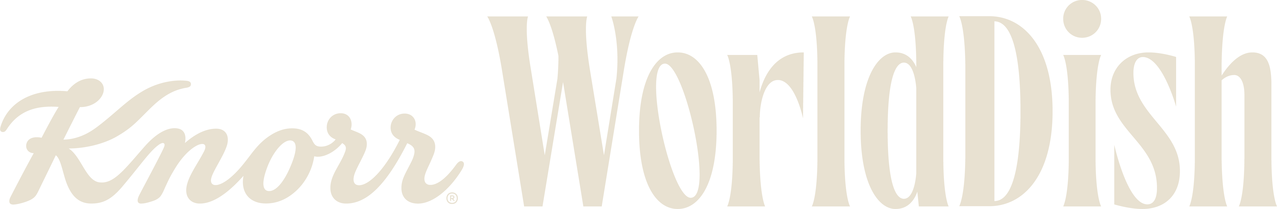 Knorr WorldDish